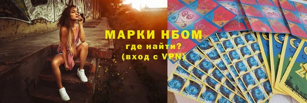 прущие грибы Алзамай