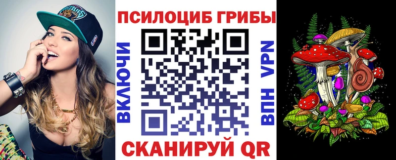 хочу   Бутурлиновка  Галлюциногенные грибы Cubensis 